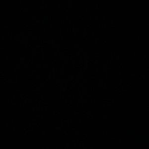 Meet your Posher, Alissa